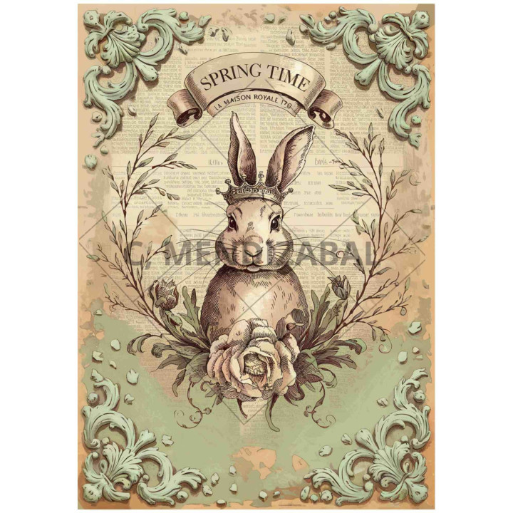 copy of 
